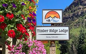 Timber Ridge Lodge ユアレイ Exterior photo