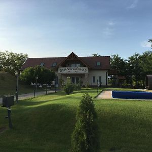 ホテル Bor-Vendeghaz キシュケーレシュ Exterior photo
