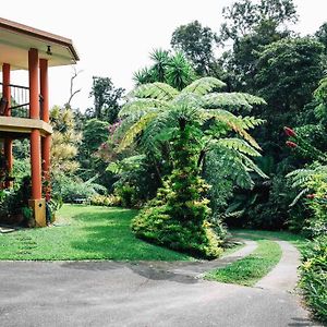 Studio In The Rainforest キュランダ Exterior photo