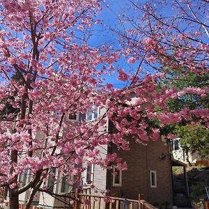 仁愛郷 チンジン ニュー パラダイス ベッド アンド ブレックファースト Bed & Breakfast Exterior photo