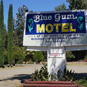 Blue Gum Motelウィローズ Exterior photo