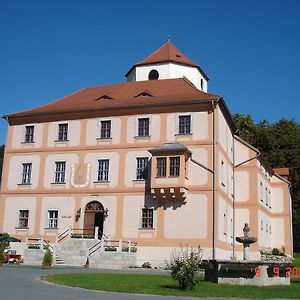 Hotel Garni Schloss Schonberg バート・ブラムバッハ Exterior photo