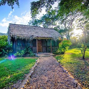 Bocawina Rainforest Resort ホプキンズ Exterior photo