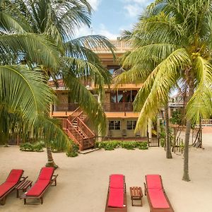 ホテル Buttonwood Belize ホプキンズ Exterior photo