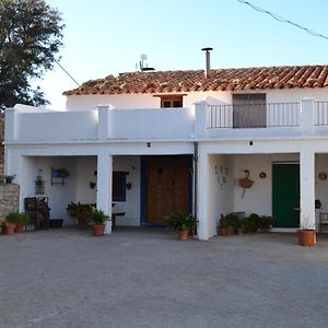 Casa Rural En El Campo - Mas De Tenesa ベナサル Exterior photo
