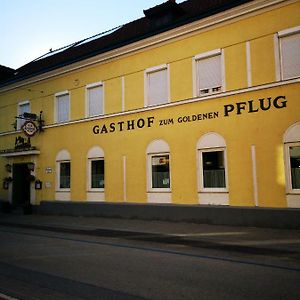 ホテル Gasthof Zum Goldenen Pflug アムシュテッテン Exterior photo