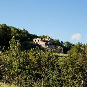 Villamaina Le Conche Country House Bed & Breakfast Exterior photo