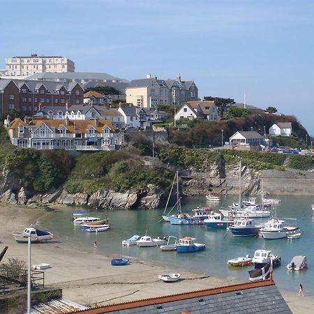 Harbour Hotel New Quay エクステリア 写真