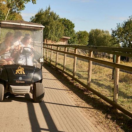 Port Lympne Mansion Hotel ハイス エクステリア 写真