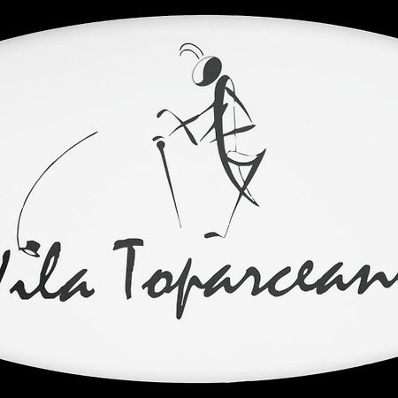 Vila Toparceanu オトペニ エクステリア 写真