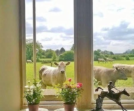 Battens Farm Cottages - B&B And Self-Catering Accommodation Yatton Keynell エクステリア 写真