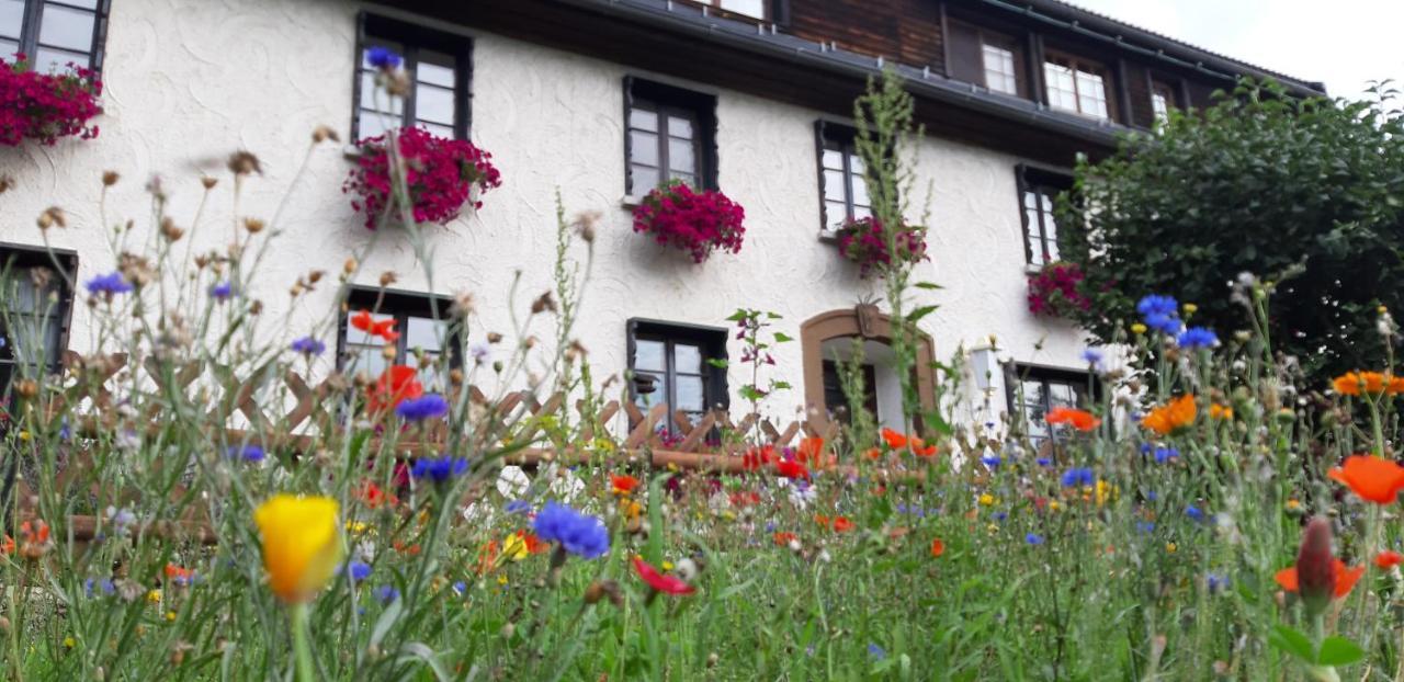 Hotel Das Landhaus ヘーヘンシュヴァント エクステリア 写真