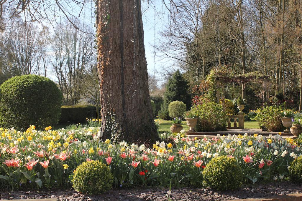 Old Rectory Hotel, Crostwick Spixworth エクステリア 写真