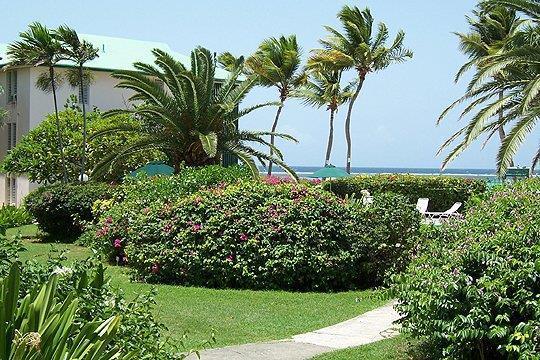 ホテル コロニー コーヴ ビーチ リゾート Saint Croix エクステリア 写真