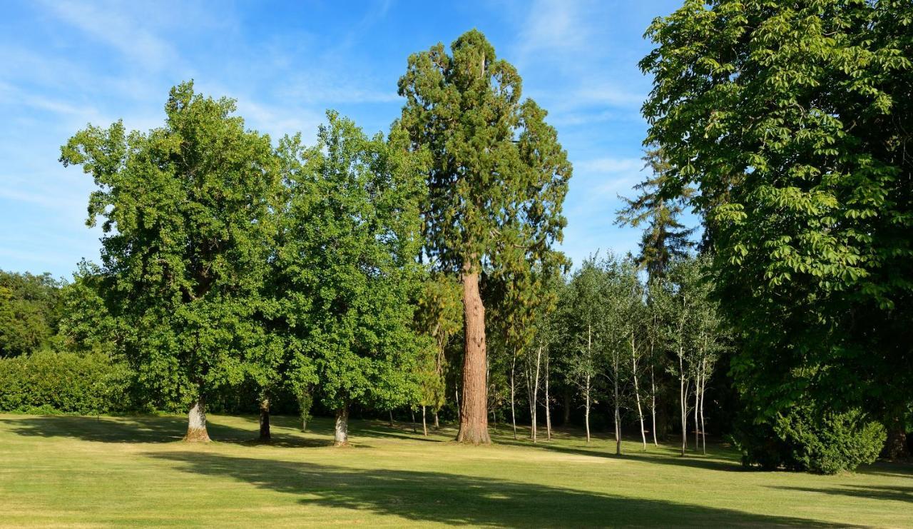 Chateau Le Mas De Montet Petit-Bersac エクステリア 写真