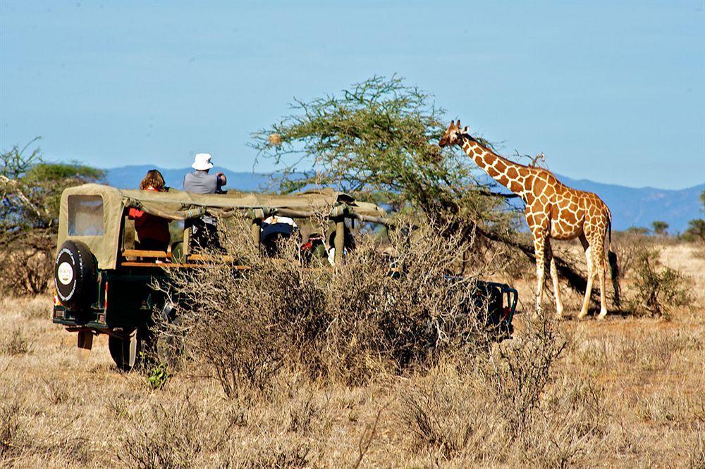 Samburu Intrepids Tented Camp Archers Post エクステリア 写真