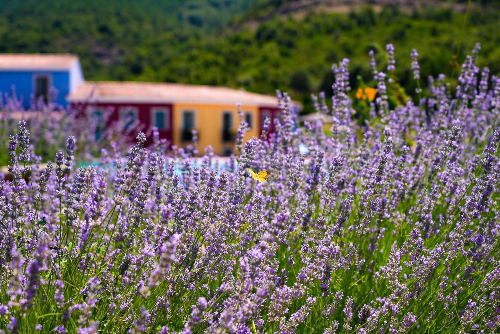 Eco Hotel Orlando Sardegna Villagrande Strisaili エクステリア 写真