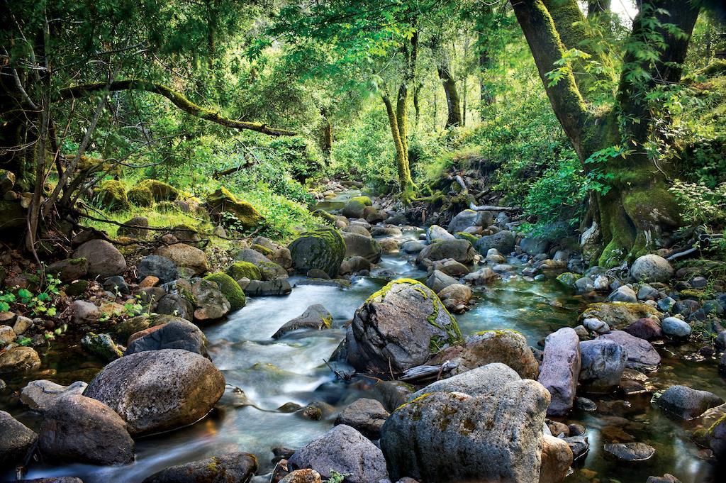 ホテル Calistoga Ranch エクステリア 写真