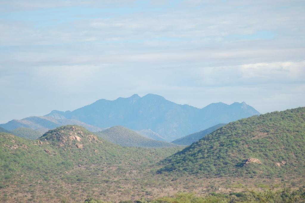 Samburu Intrepids Tented Camp Archers Post エクステリア 写真