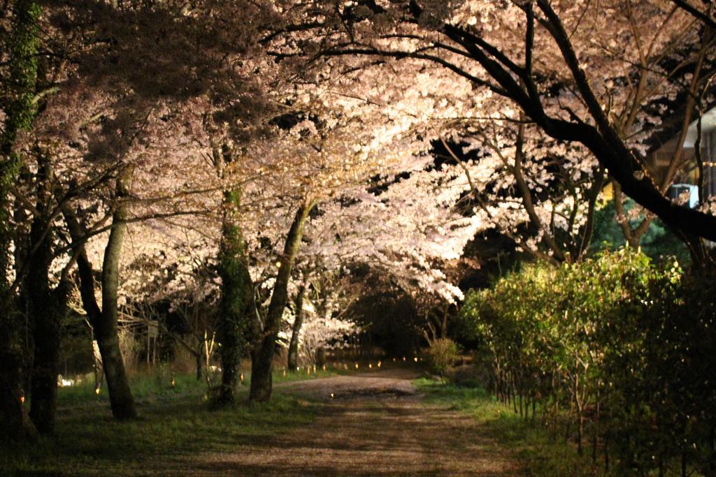 ホテル 望川館 下呂市 エクステリア 写真