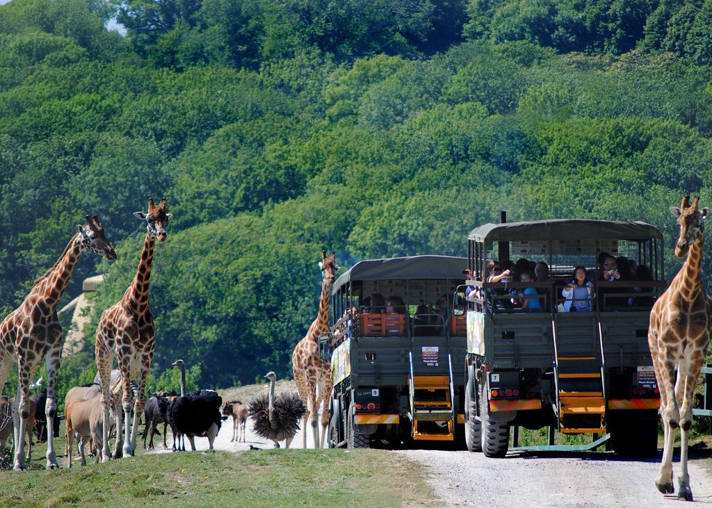 Port Lympne Mansion Hotel ハイス エクステリア 写真