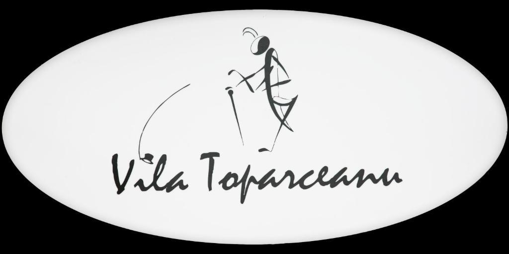 Vila Toparceanu オトペニ 部屋 写真