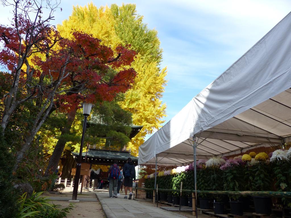 民宿 桑谷屋 高山市 エクステリア 写真