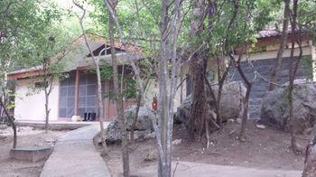 ホテルPalo Verde Biological Station グアナカステ エクステリア 写真