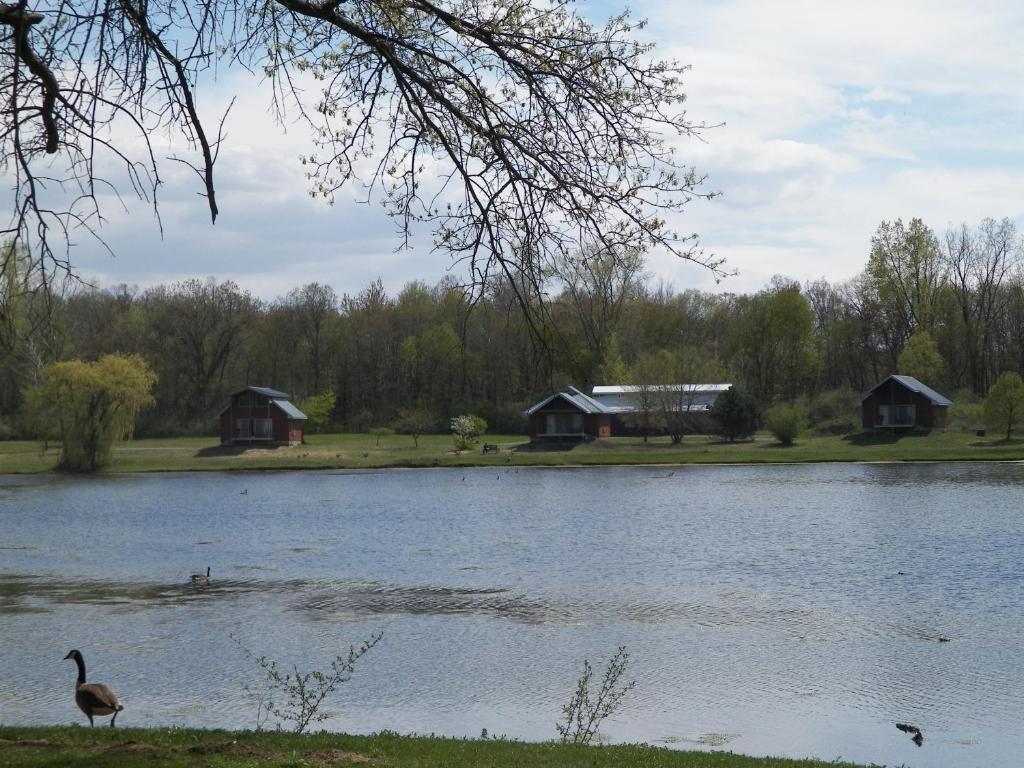 ホテルSerenity Springs - Michigan City Springfield エクステリア 写真