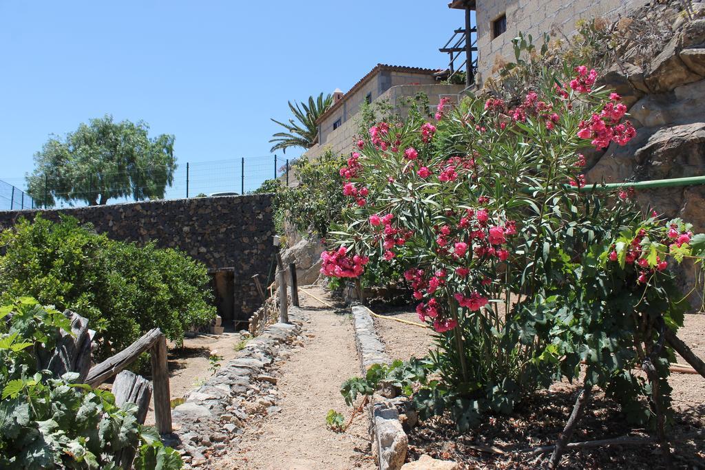 グラナディージャ・デ・アボナ Casa Rural Anton Picheゲストハウス エクステリア 写真