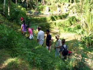 Bali Eco Resort And Retreat Centre エクステリア 写真