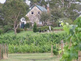 Craigie Knowe Cottage & Vineyard Cranbrook エクステリア 写真