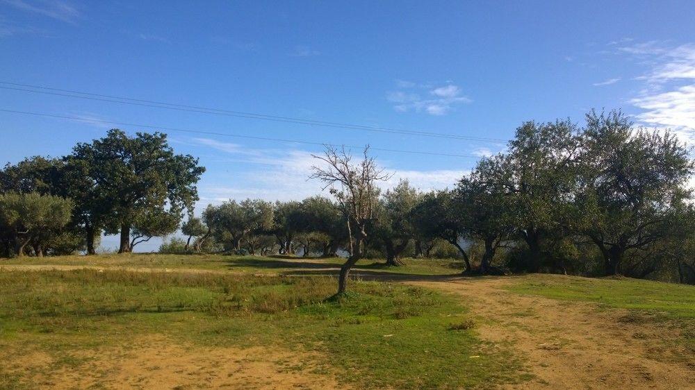 Villette Monte Alto パッティ エクステリア 写真