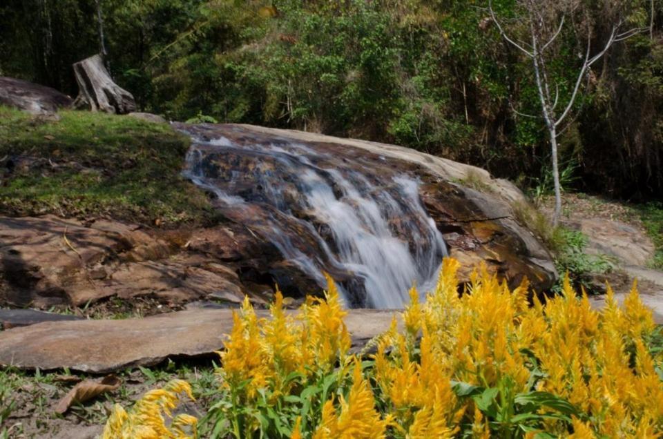 The Natural Healing Spa Retreat メーリム エクステリア 写真