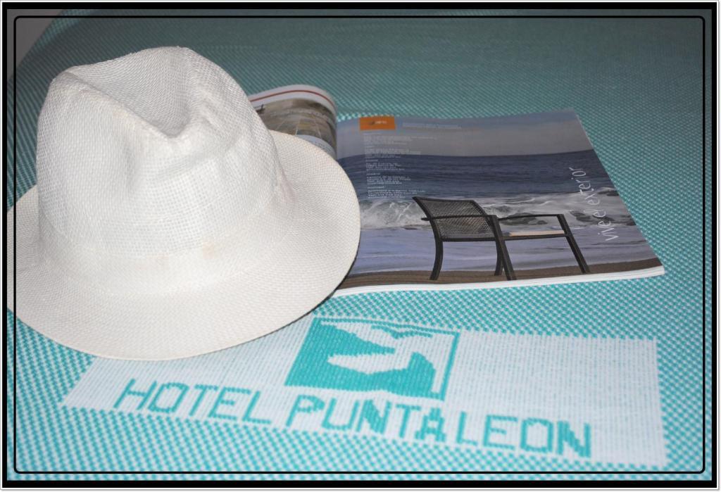 Hotel Punta Leon ラウソン 部屋 写真