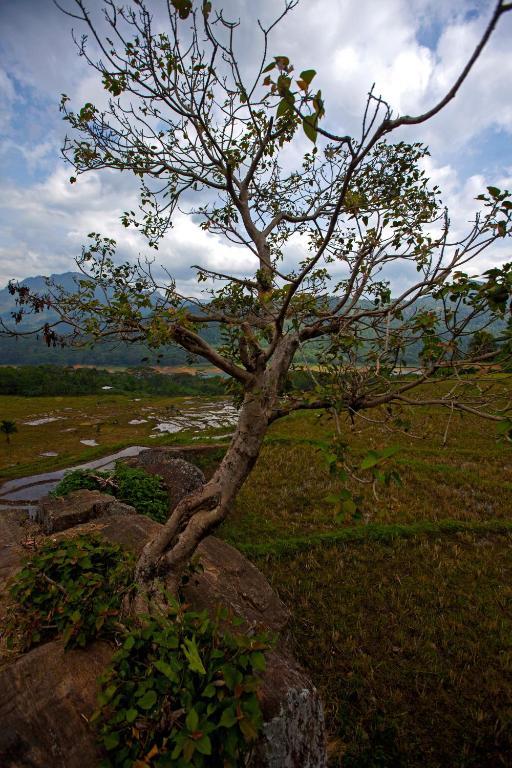 Mas Villa By Fox Resorts Kotmale エクステリア 写真