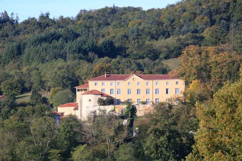 Domaine Saint-Roch Hotel Spa Salzuit エクステリア 写真