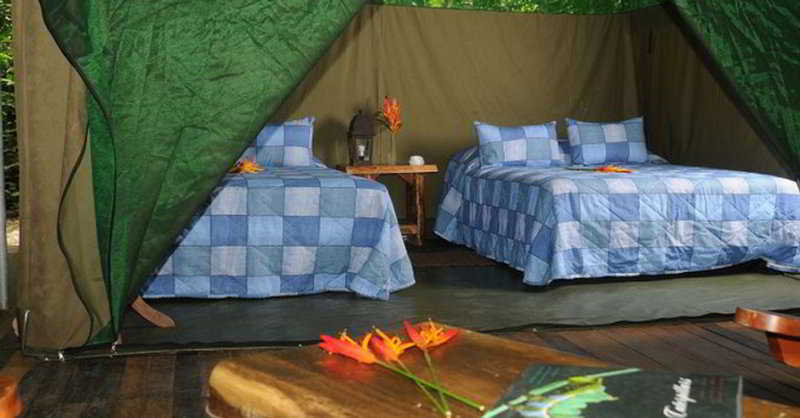 Pozo Azul Tent Suites Sarapiquí エクステリア 写真