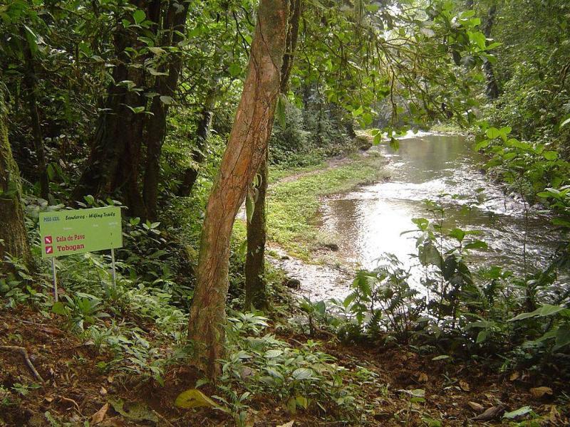 Pozo Azul Tent Suites Sarapiquí エクステリア 写真