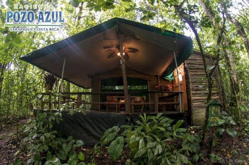 Pozo Azul Tent Suites Sarapiquí エクステリア 写真