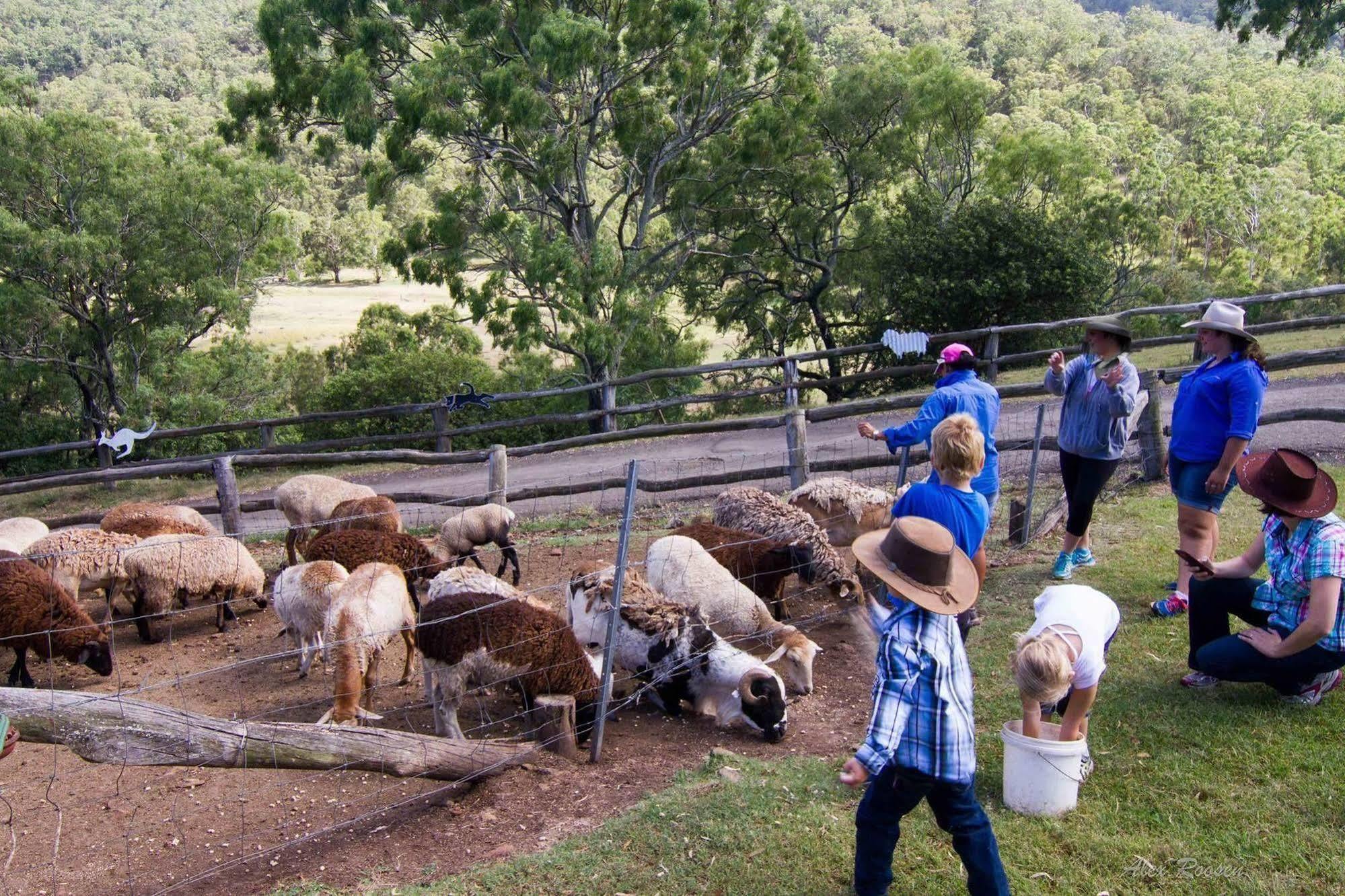 Bestbrook Mountain Farmstay Maryvale エクステリア 写真