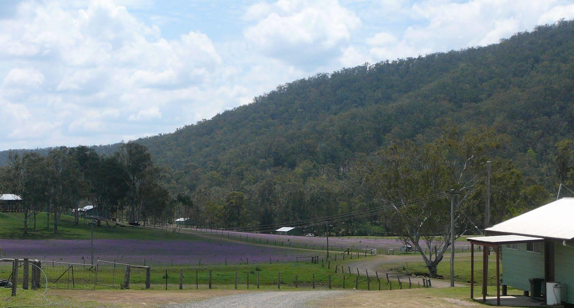 Bestbrook Mountain Farmstay Maryvale エクステリア 写真