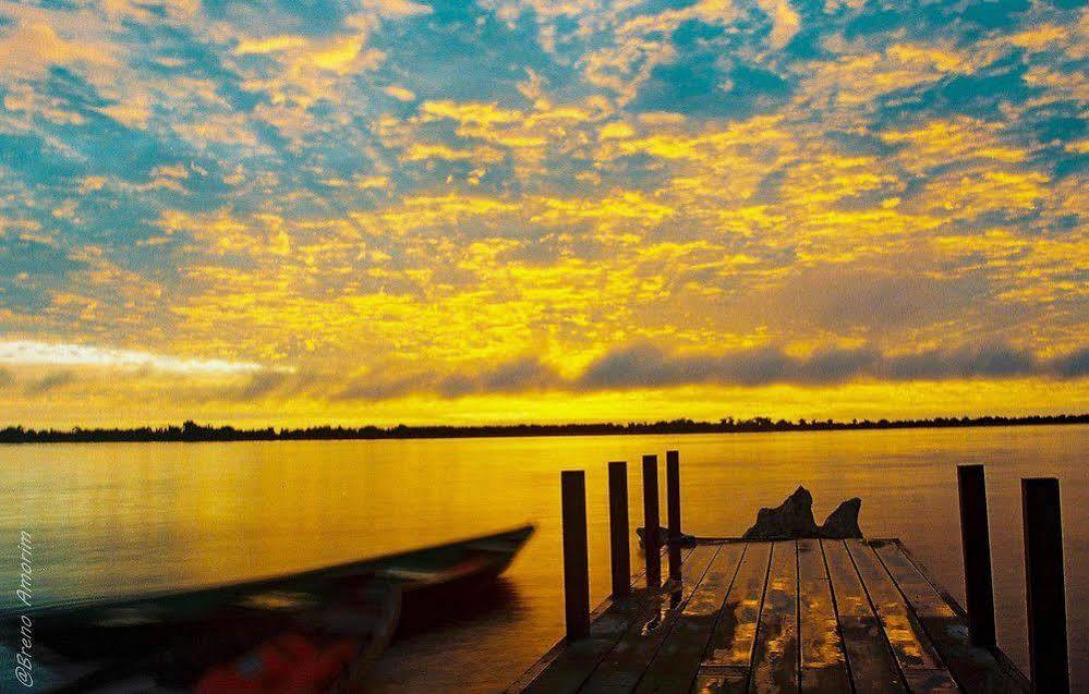 Amazone Eco Park Jungle Lodge マナウス エクステリア 写真