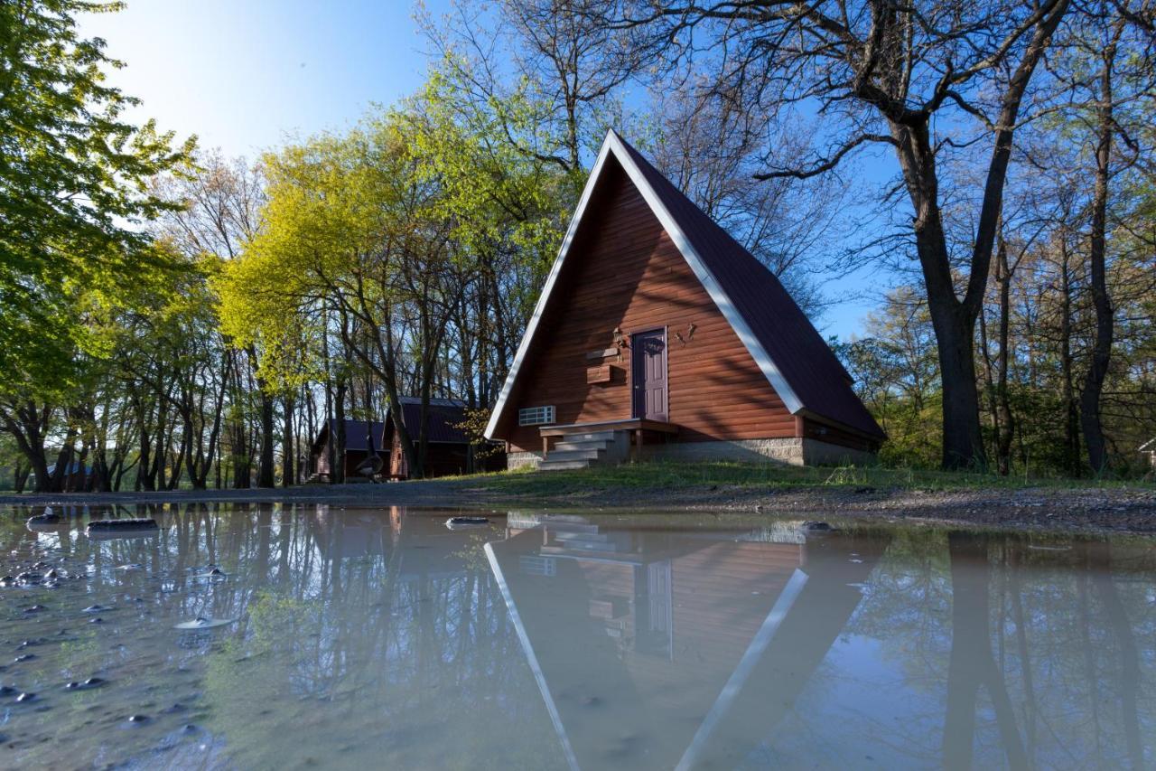 ホテルSerenity Springs - Michigan City Springfield エクステリア 写真