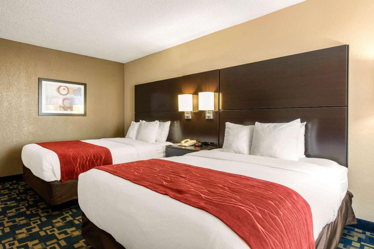 Comfort Inn & Suites Near Universal Orlando Resort-Convention Ctr エクステリア 写真