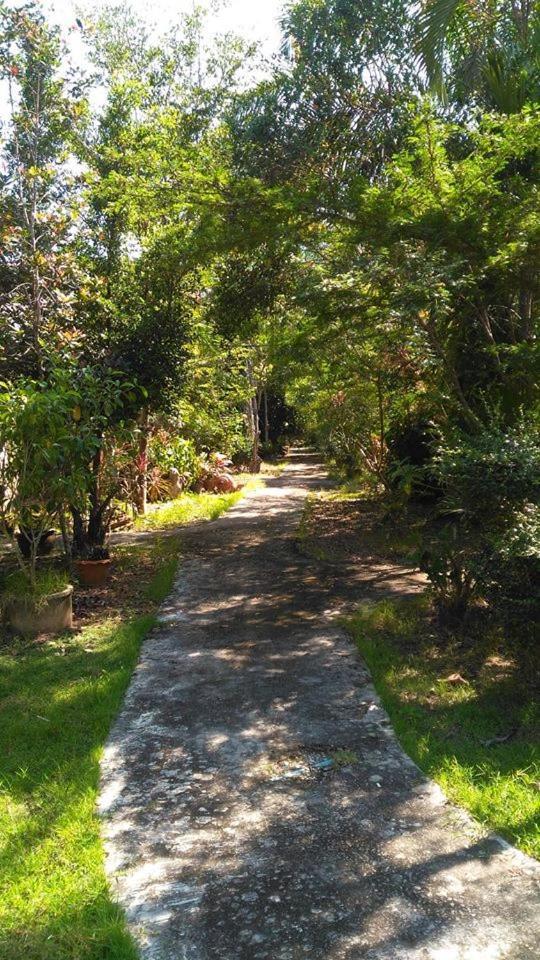 ホテルBanburee House Ao Nang エクステリア 写真