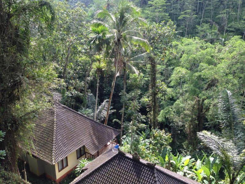 Bali Eco Resort And Retreat Centre エクステリア 写真