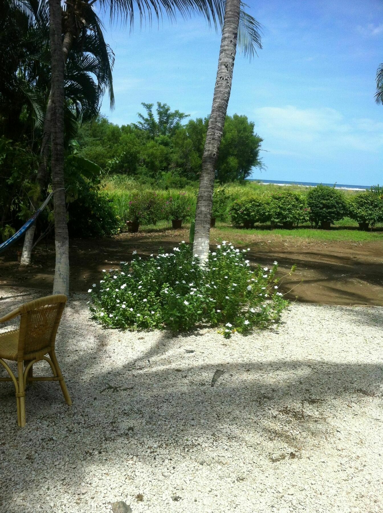 Hotel Laguna Del Cocodrilo タマリンド エクステリア 写真