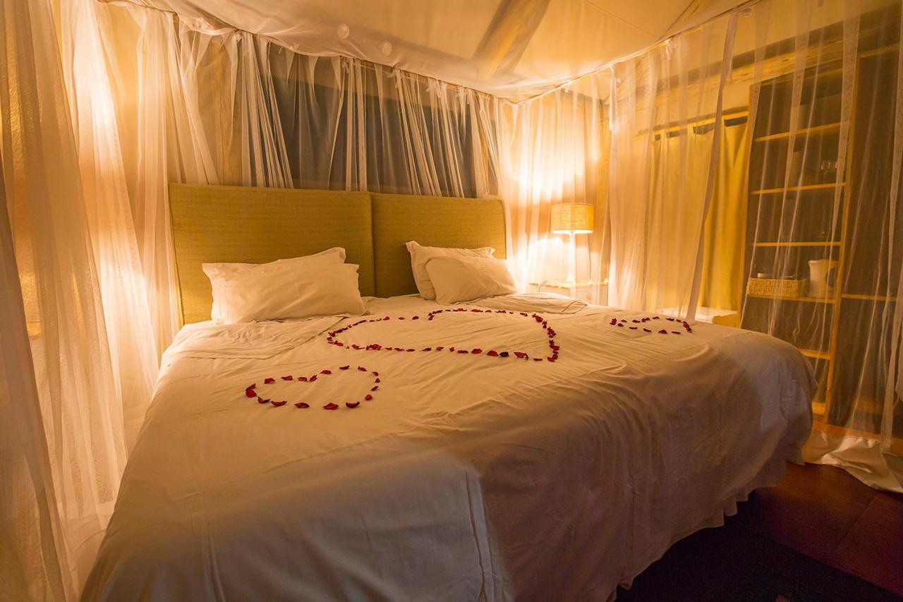 Thornybush Chapungu Luxury Tented Camp フッドスプルイト エクステリア 写真