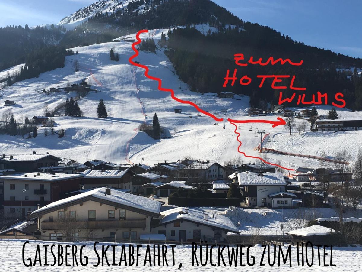 Hotel Willms Am Gaisberg キルヒベルク・イン・チロル エクステリア 写真